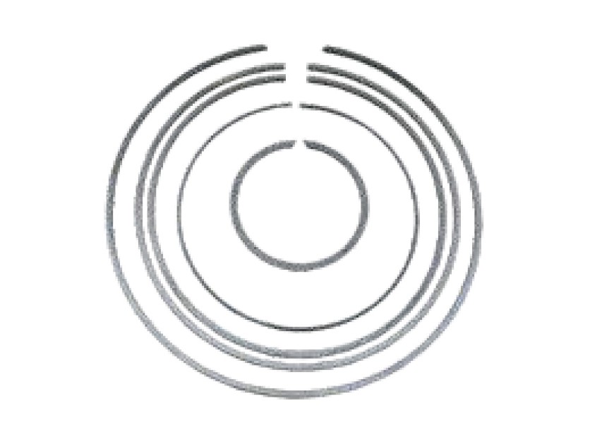 Snap ring